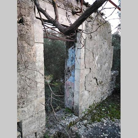Apartment With Private Pool For Rent In Tzanata Kefalonia Dhimisianata Exterior photo