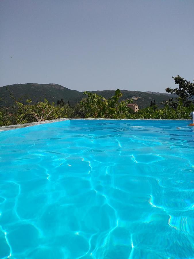 Apartment With Private Pool For Rent In Tzanata Kefalonia Dhimisianata Exterior photo